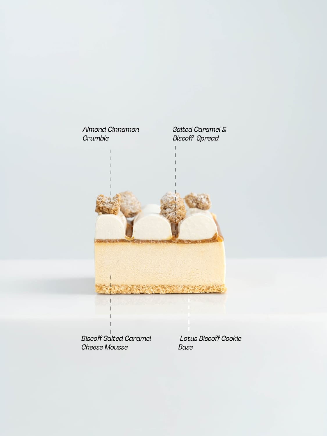 Biscoff Bliss Cheesecake
